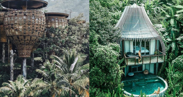 [Thailand] Tree House Villa in Phuket! Feel like visiting a hidden world!