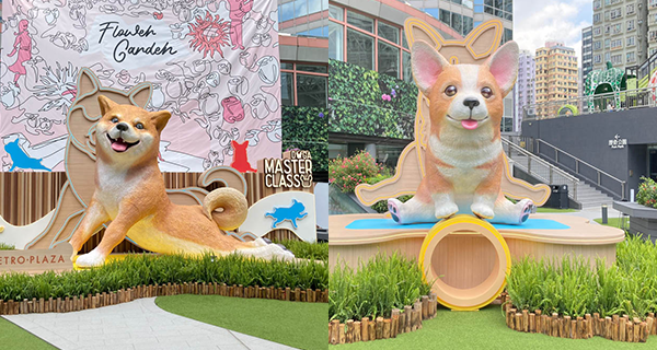 【香港】葵芳必影4米高巨型柴犬,5大汪星人瑜伽打卡位+毛孩好去處