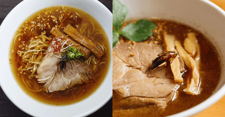 【日本】昆蟲美食又嚟啦！日本蟋蟀拉麵！1碗等如100隻蟋蟀！
