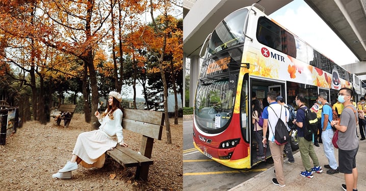 【香港】大棠楓香林睇紅葉！港鐵特設紅葉專車！