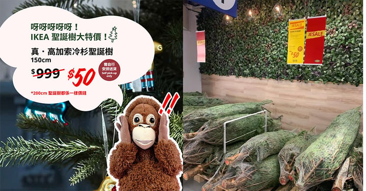 【香港】突發！IKEA真．聖誕樹特價$50！