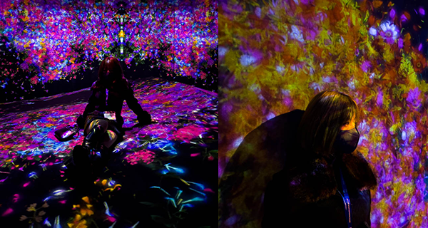 【澳門】澳門互動體驗展覽teamLab，打卡藝術光影+彈跳床宇宙