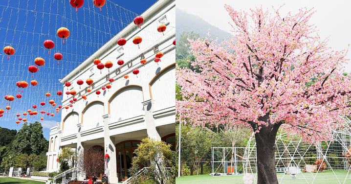 【香港】大埔Lake House 新春打卡主題! 6米高桃花樹+2萬朵鬱金香後花園+漫天燈籠
