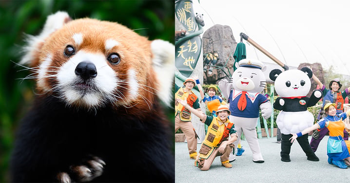 【顧融感謝週】勞工處免費送12000張海洋公園門票!即睇抽獎方法!
