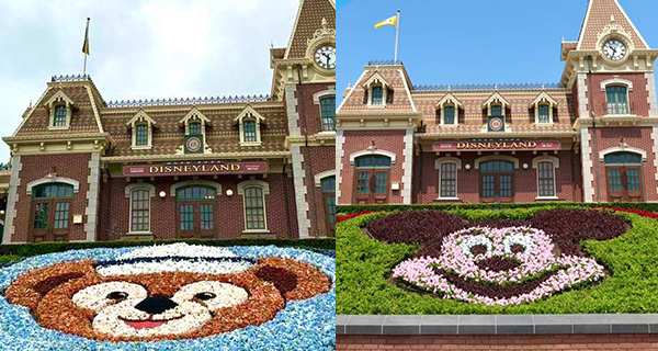 【香港迪士尼樂園】米奇花圃回歸啦！Duffy花圃上位兩個月隱退