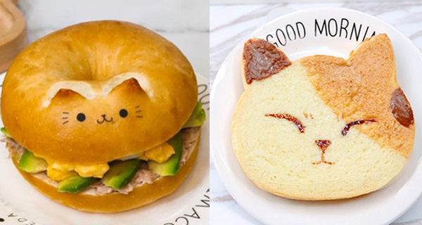 【澳門美食】貓貓主題Cafe！貓貓Bagel+三文治+鳳梨酥