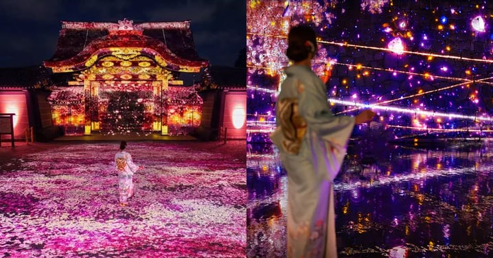 【日本好去處】京都NAKED二條城櫻花祭2025！300株櫻花樹+光雕藝術投影