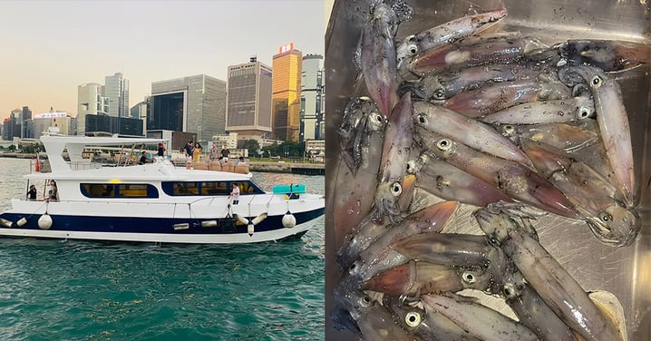 【香港好去處】本港墨魚季開始!合家歡活動+有得玩仲有得食同飲+浪漫夜游維港!人均低至$295起