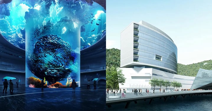 【深圳好去處】小梅沙海洋世界地鐵直達！逾6萬平方米，5大區域觀賞200多種稀有名貴生物