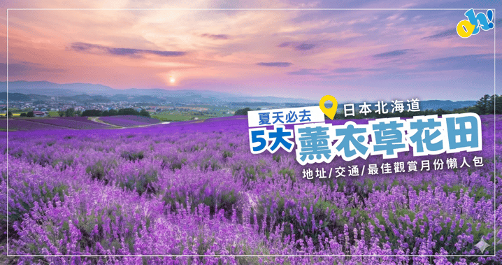 夏天必去!日本北海道5大薰衣草花田懶人包:富田農場/四季彩之丘/札幌幌見峠詳細介紹