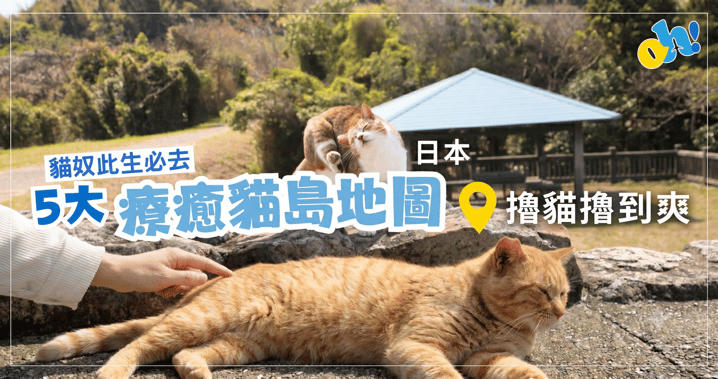 日本貓島推介2026｜5大療癒擼貓聖地地圖：由入門級到終極貓海 (附交通攻略)