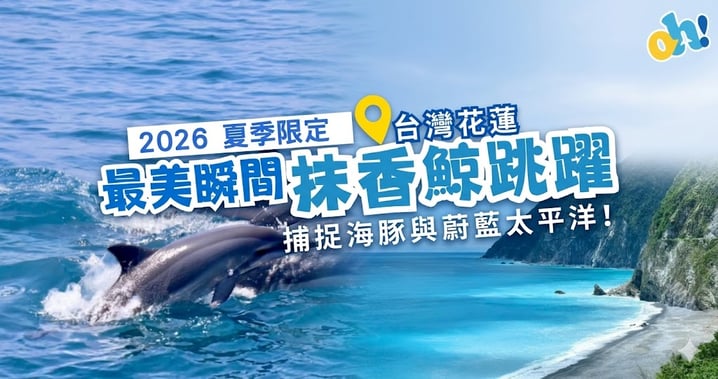 2026夏季限定快訊!花蓮出海撞見抹香鯨,附出海小貼士