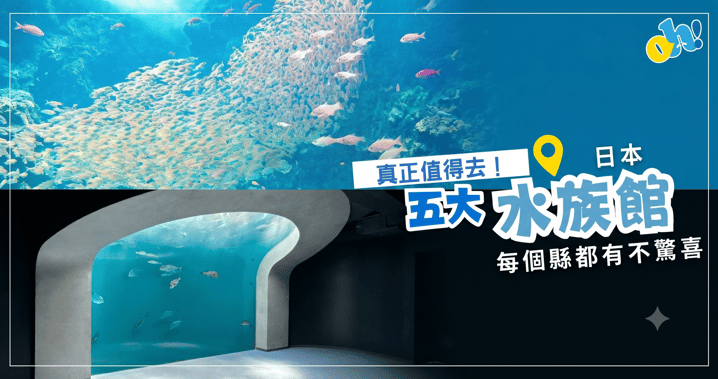 【日本自由行】真正值得去！全日五大超人氣水族館全攻略，每個縣都有不同驚喜（附地址/交通/門票）