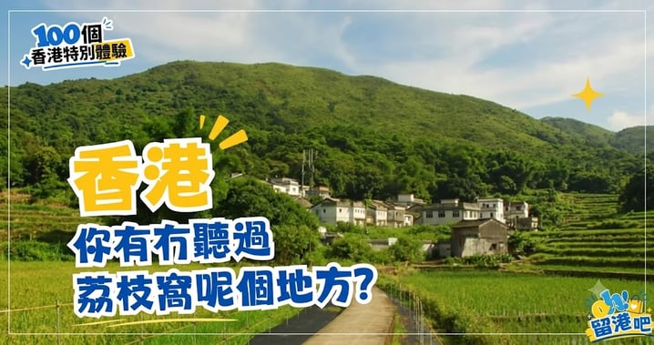 【香港深度遊】走進 300 年隱世客家古村:荔枝窩住宿、生態亮點與交通全攻略