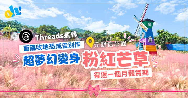 【元朗好去處】信芯園粉紅芒草花海!面臨收地恐成告別作(附交通指南)