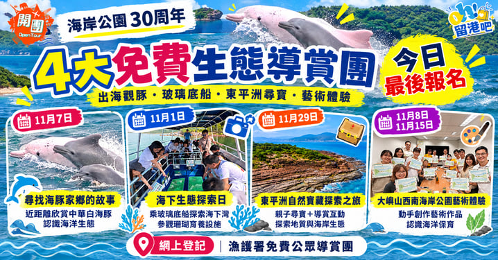 海岸公園30周年|4大免費生態導賞團!玻璃底船、海豚導賞、東平洲探索 今日截止報名