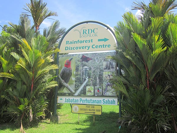 馬來西亞~熱帶雨林探索中心 (Rainforest Discovery Centre)