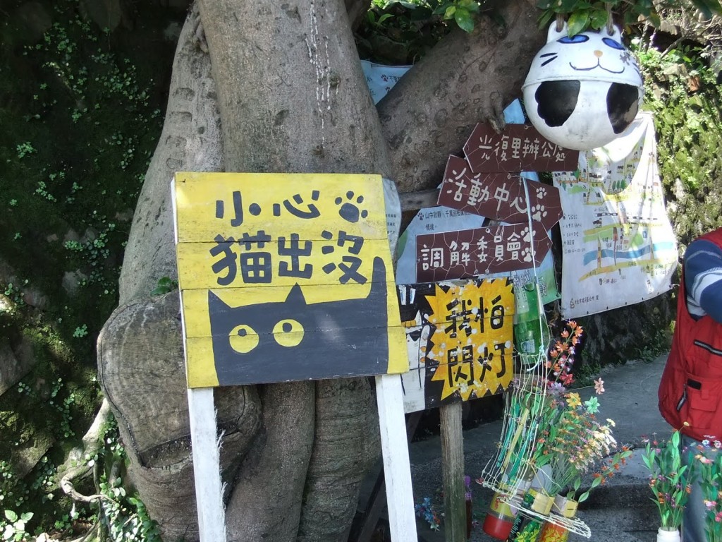 20150614 侯硐貓村02