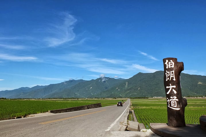 台灣伯朗大道