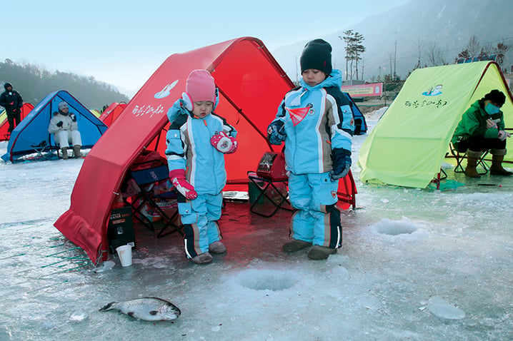 韓國 ~ 平昌鱒魚節，韓國冬日必玩!!