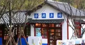 成威會長分享[見得多識得少](台灣愛情火車站)
