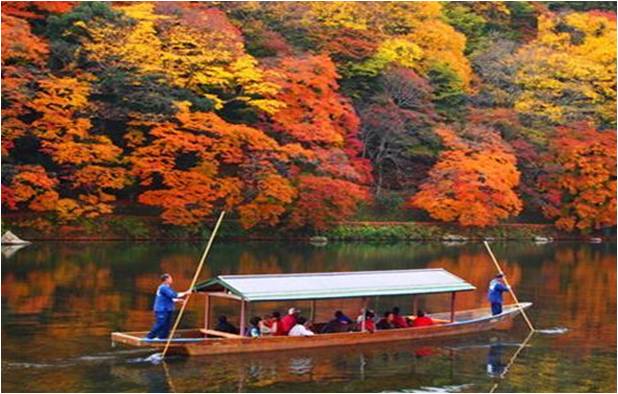 京都嵯峨野 不可錯過的楓紅美景 | 日本旅遊 | 放假去邊