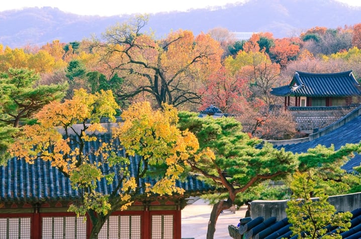 韓國 – 首爾市內賞楓紅秘境，昌慶宮