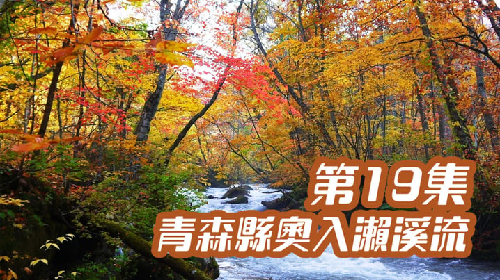 [放假去邊] 第19集精華，青森縣奧入瀨溪流