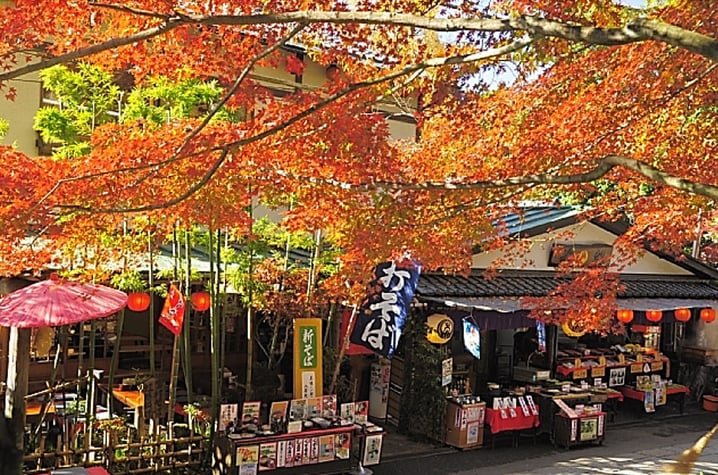 日本 - 鄰近東京，賞紅葉名所 - 深大寺
