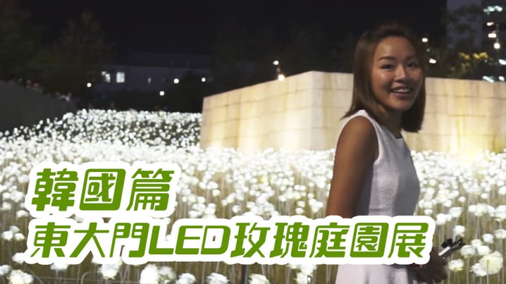 [放假去邊 - 韓國篇] - 東大門LED玫瑰庭園展