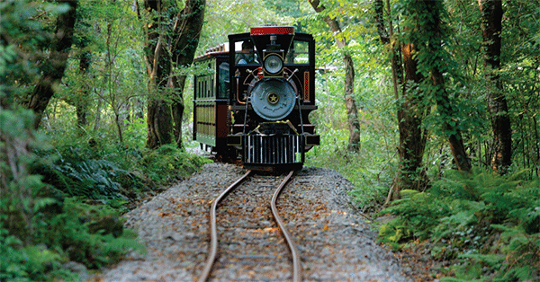 韓國 - 濟州必遊  EcoLand森林火車主題樂園