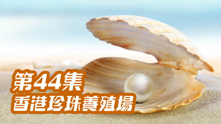 [放假去邊] 第44集精華，香港珍珠養殖場