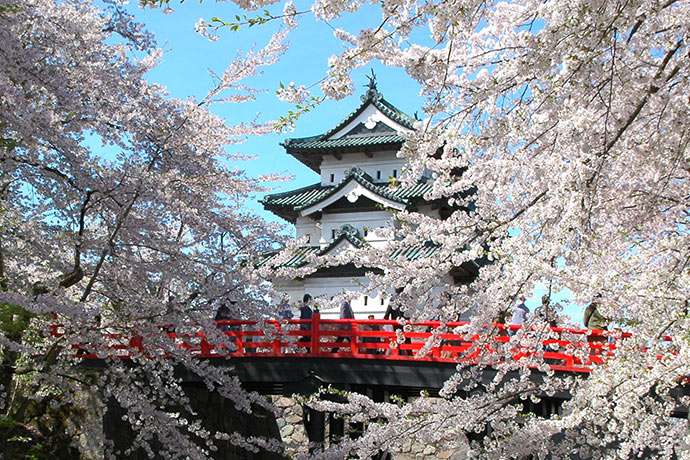日本 – 賞櫻百選第一位，弘前城公園