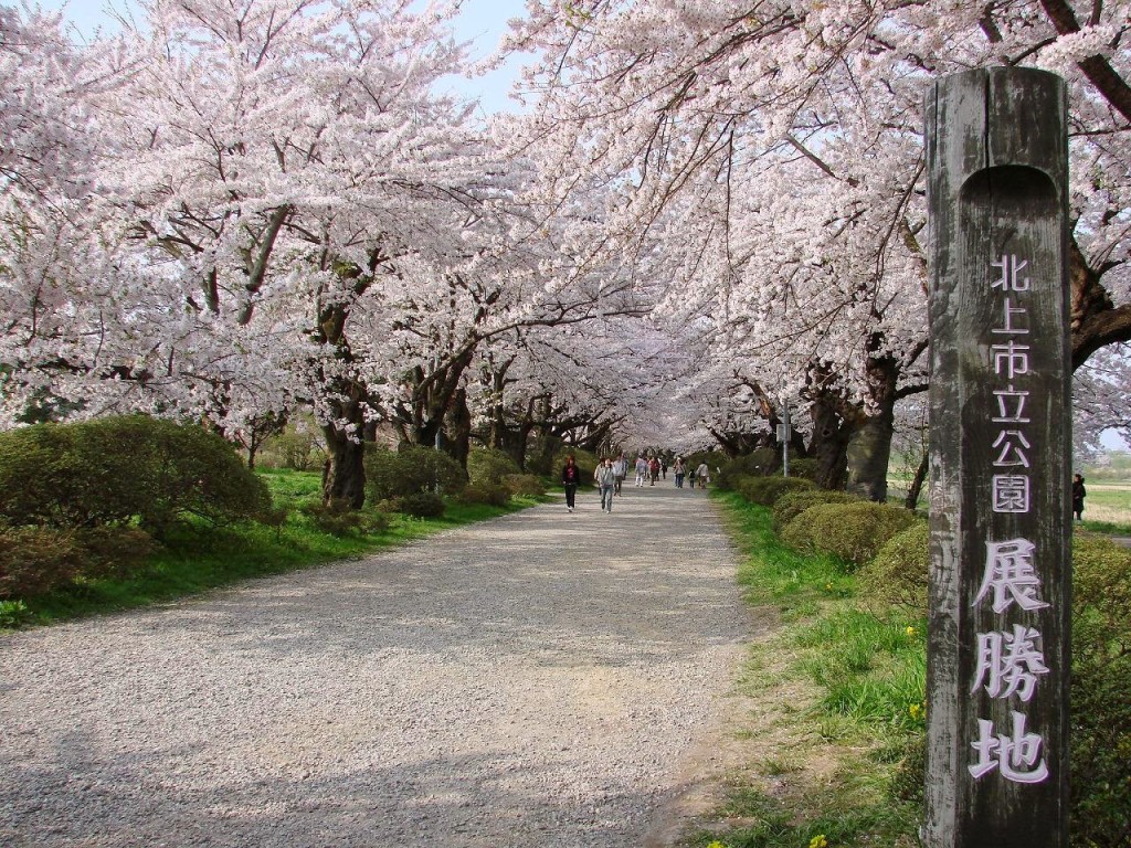 北上展勝地 06