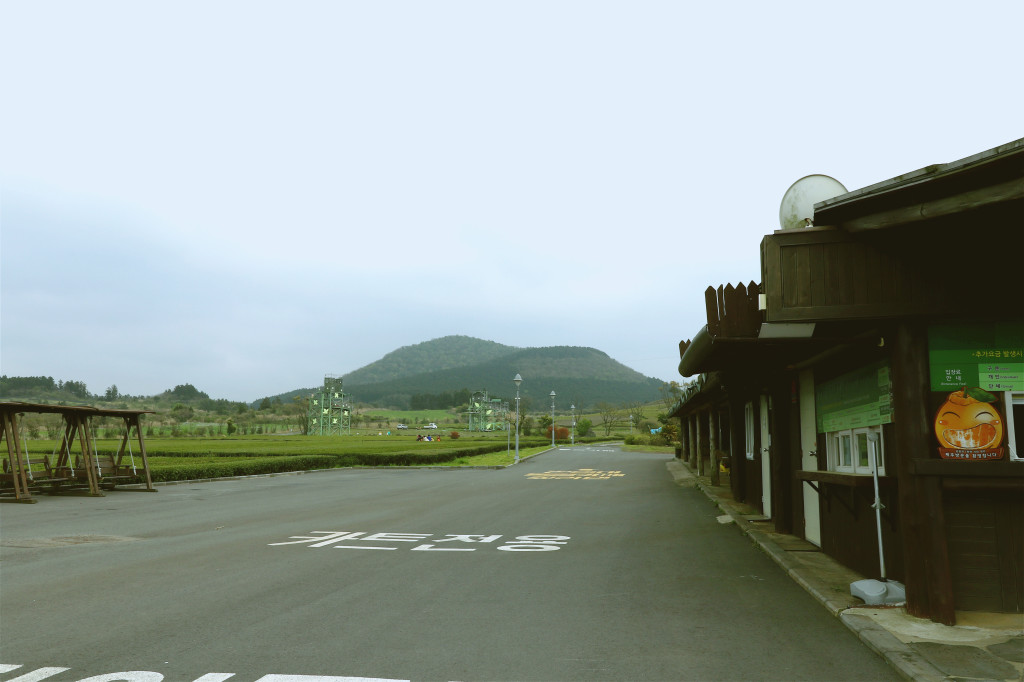 IMGL0292_meitu_4