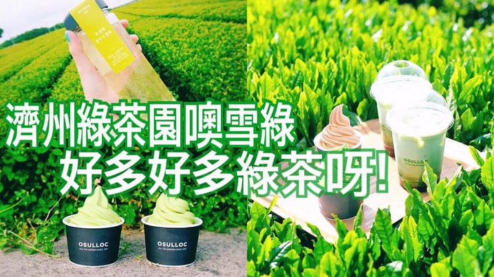 韓國 - 噢雪綠!  O’SULLOC! 噢! 好多好多綠茶呀!