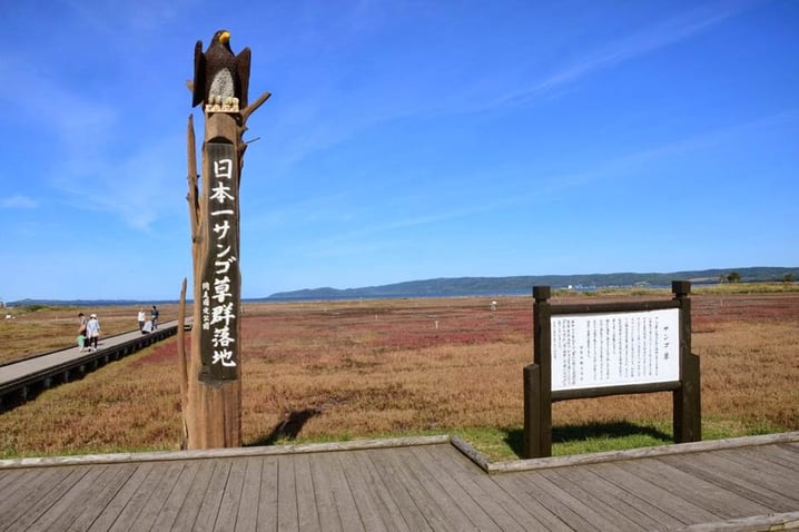 日本 - 北海道火紅「能取湖」