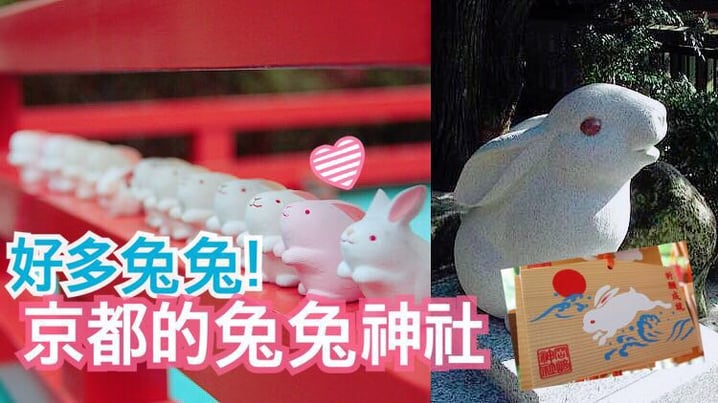 日本- 好多兔兔! 京都的兔兔神社 <3