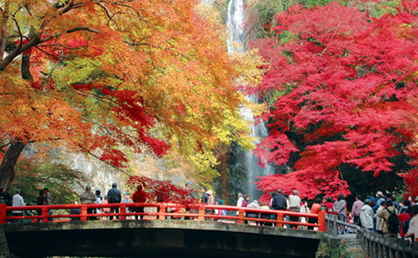 日本 – 跟大阪人到箕面公園賞楓紅