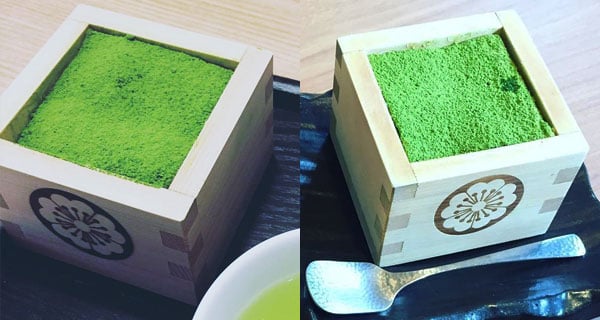 至愛抹茶~~ 嚟福岡必食人氣抹茶Tiramisu!｜日本美食｜放假去邊