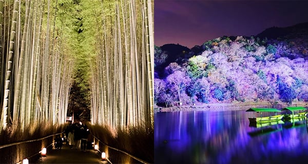 冬季浪漫約會! 京都嵐山花燈路 ｜日本旅遊｜放假去邊