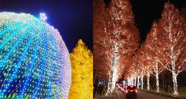 京都最大型燈飾活動! ROHM ILLUMINATION｜日本旅遊｜放假去邊