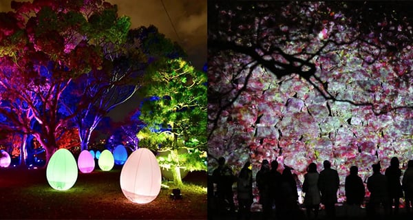 福岡城都有TeamLab!? $70睇城跡光之祭｜日本旅遊｜放假去邊