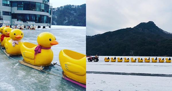 超療癒！抱川山井湖黃色鴨仔雪橇｜韓國旅遊｜放假去邊