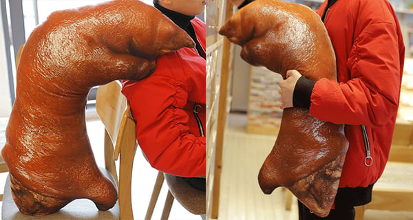 肉食獸大愛！超逼真豬腳抱枕 | 購物趣聞 | 放假去邊
