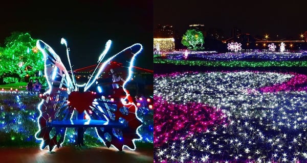 台北板橋蝴蝶公園~ 9萬支風車夜間變夢幻光雕蝴蝶!｜台灣旅遊｜放假去邊