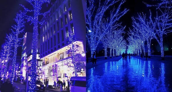 全長800米夢幻藍色燈海 東京見證最浪漫嘅冬季美景！｜日本旅遊｜放假去邊