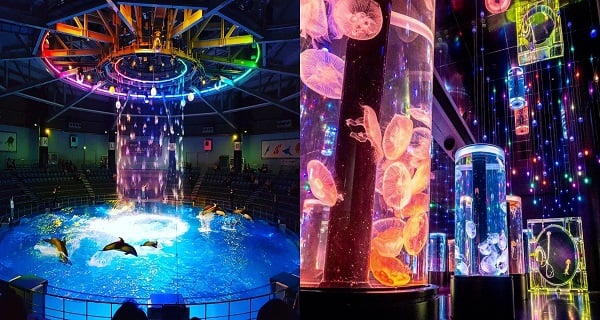 落雨也不怕！東京打卡必到水族館 玩足一日無難度！｜日本旅遊｜放假去邊