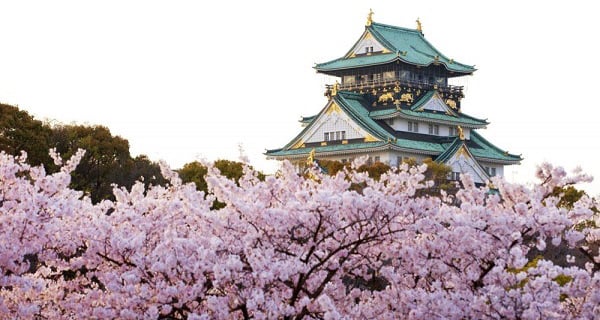 【日本 旅遊TIPS】大阪天氣懶人包 四季天氣分析+建議｜各式優惠｜開團