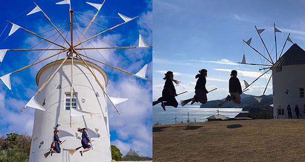 打卡必到！充滿地中海風情 四國小豆島橄欖公園｜日本旅遊｜放假去邊